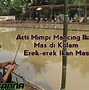 Mimpi Mancing Dapat Ikan Banyak Menurut Islam